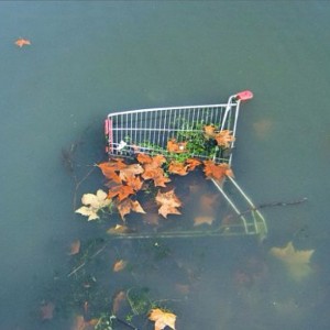 Roundup // July 19th