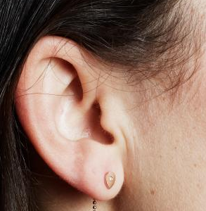 Bare Collection for Hatch Jewelry
