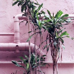 Pinterest Color Inspiration
